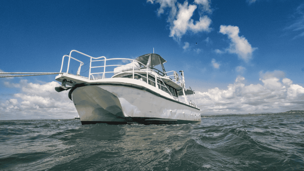 White Blue Modern Whale Travel Vlog Youtube Thumbnail (5)